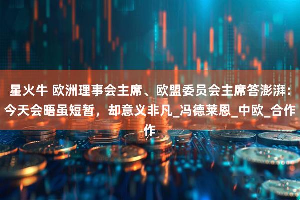 星火牛 欧洲理事会主席、欧盟委员会主席答澎湃：今天会晤虽短暂，却意义非凡_冯德莱恩_中欧_合作