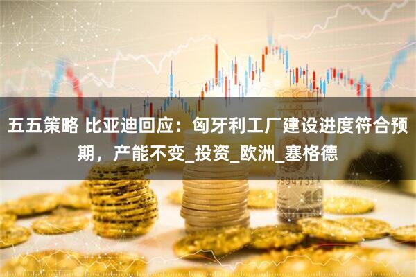 五五策略 比亚迪回应：匈牙利工厂建设进度符合预期，产能不变_投资_欧洲_塞格德