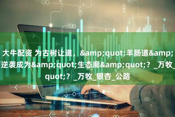 大牛配资 为古树让道，&quot;羊肠道&quot;如何逆袭成为&quot;生态廊&quot;？_万牧_银杏_公路